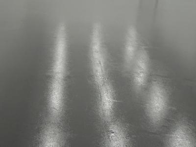 DSC2334